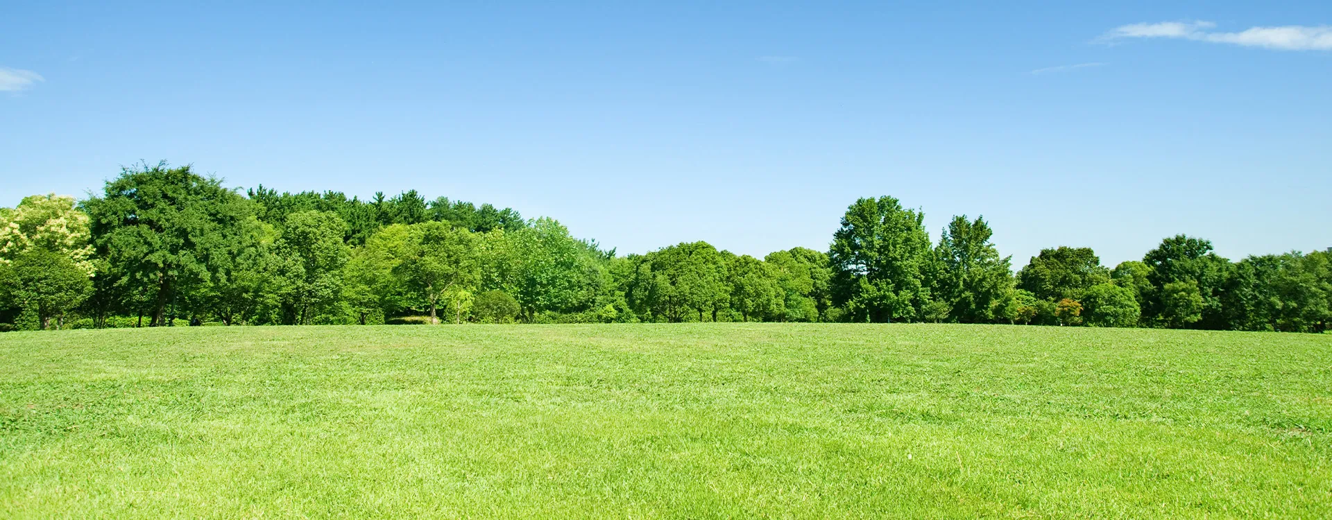 株式会社芽ぐむ